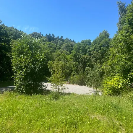 Campingplatz Forest Rodland