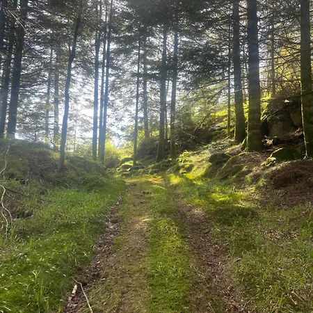 Campingplatz Forest Rodland